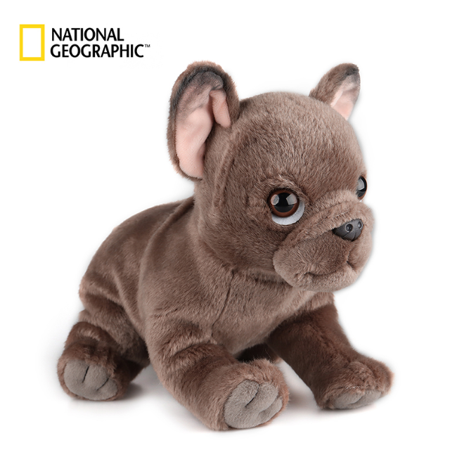 国家地理 萌宠物系列礼盒包装款灰色斗牛犬毛绒玩具儿童礼物 770681