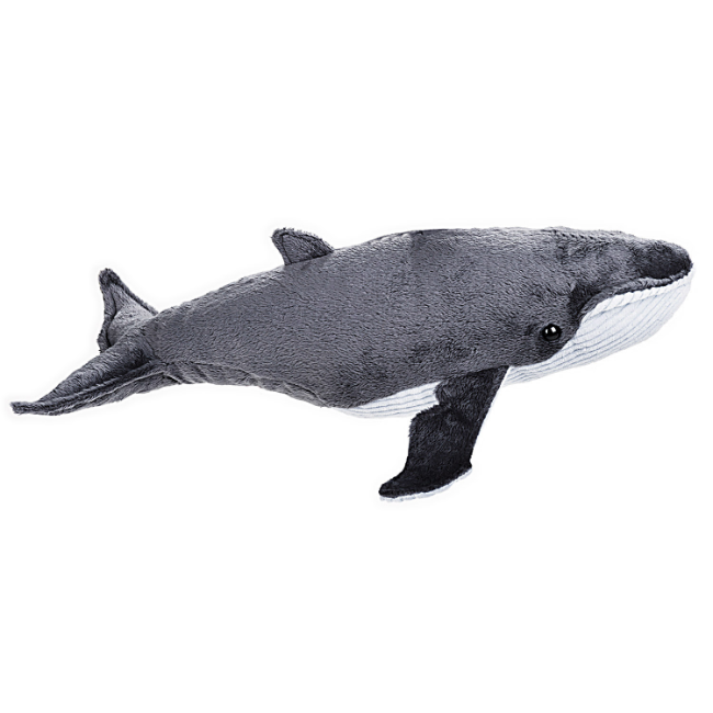 国家地理座头鲸动物毛绒玩具玩偶生日礼物海洋系列