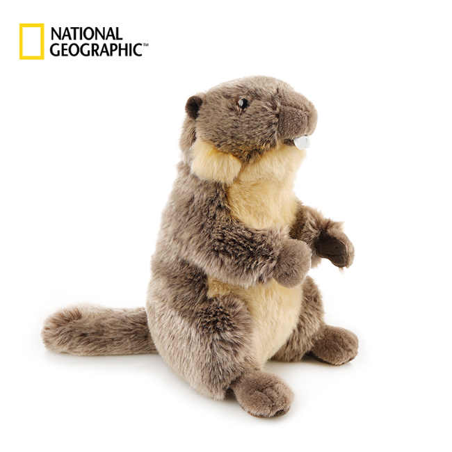 国家地理土拨鼠动物毛绒玩具玩偶生日礼物欧洲系列