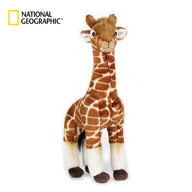 国家地理长颈鹿动物毛绒玩具玩偶生日礼物非洲系列