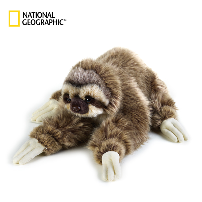 国家地理树懒动物毛绒玩具玩偶生日礼物热带雨林系列