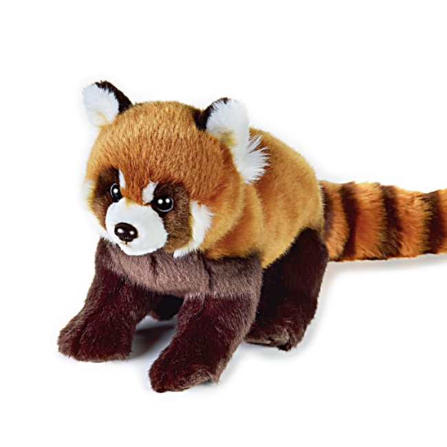 国家地理小熊猫动物毛绒玩具玩偶生日礼物热带雨林系列
