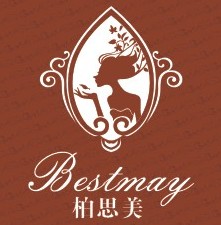 深圳市百诗美投资发展有限公司