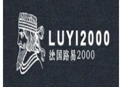 路易2000 
