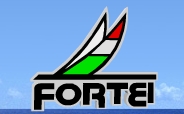 fortei富铤