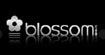 花丝雨(BLOSSOM)
