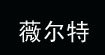 薇尔特(velvet)