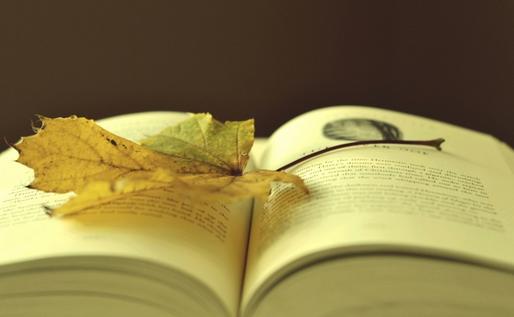 成功总在你工作的八小时之外