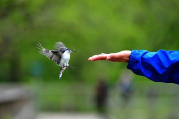 做人 不要透支你的信任!