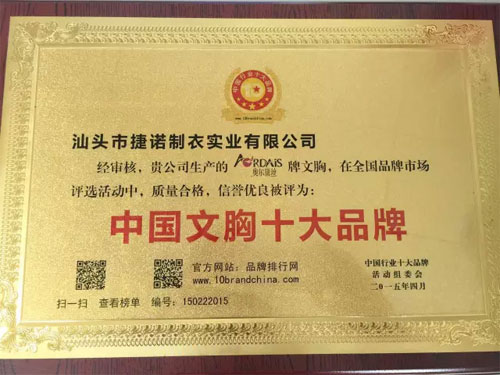 热烈庆祝《奥尔黛丝》荣获<em>2015年度</em>中国<em>文胸</em>