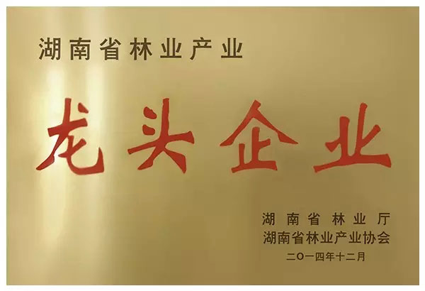 ONYOU 欧林雅王者风范依旧 再获两项殊荣