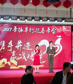 鸡年,迎春,年会