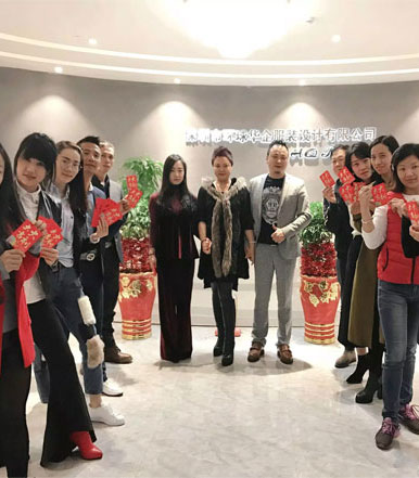 开工,鸡,图案,家庭