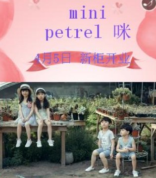 mini petrel,咪呢皮特