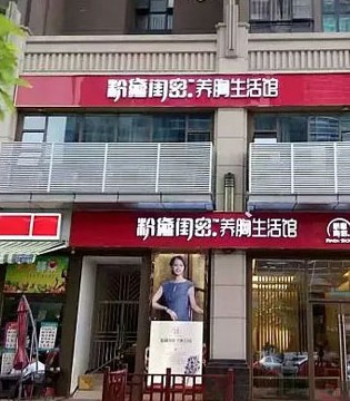 芬琦,加盟,财富分享会