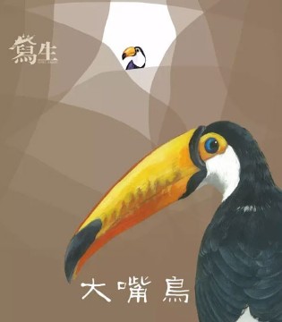 大嘴鸟,2017秋季,订货会,写生