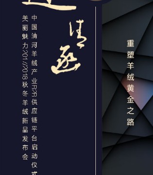 美丽魅力,2017/2018秋冬,羊绒