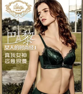 莎莲妮,法国女人,2017秋冬,蕾丝,文胸