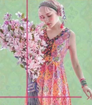 瓦纱丽,VOSARI