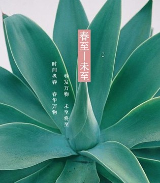 如缤,邀请函,欧美简约