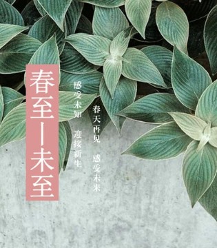 如缤,2018春新品,杭州