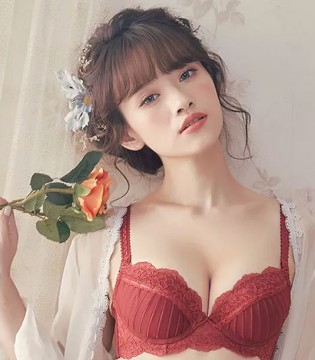 歌瑞尔,内衣,休闲,红内衣