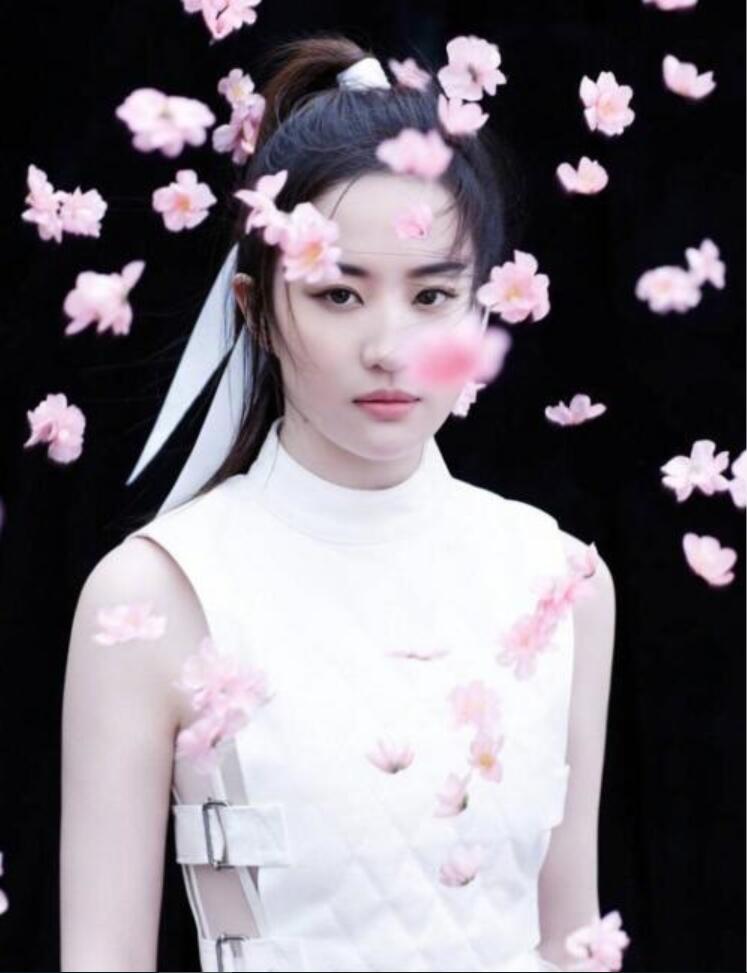 PINBLACK,刘亦菲,皮夹克