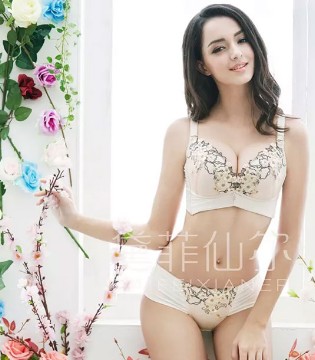 黛菲仙尔,黛菲仙尔内衣,女性内衣