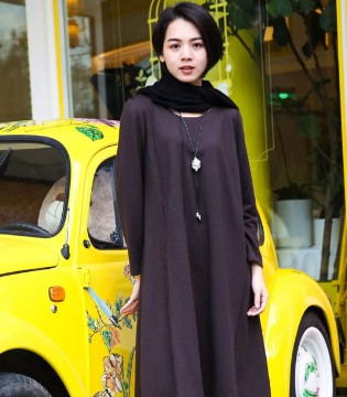 FA LOUINA,法路易娜女装,深咖色连衣裙