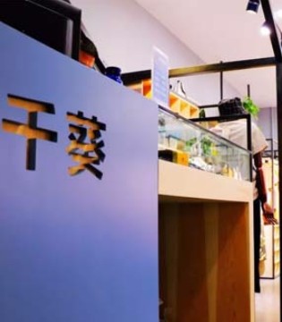 “简”小姐,千葵,开店