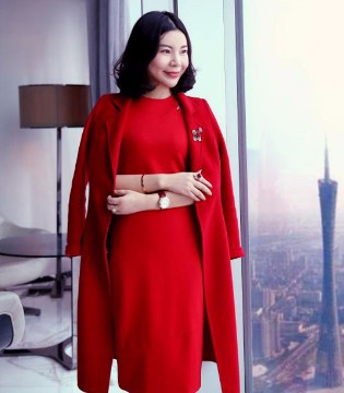 “博鳌方案”,珈姿莱尔,董事长陶燕
