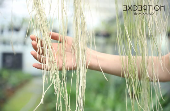 例外,品牌女装,新品,花卉艺术