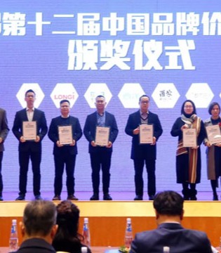 都市丽人,500强,品牌价值