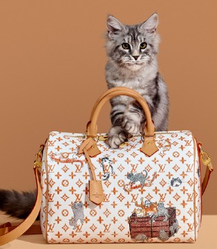 罗德公关,2019中国奢华品报告,Louis Vuitton,Tiffany