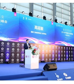 内衣,品牌,时尚