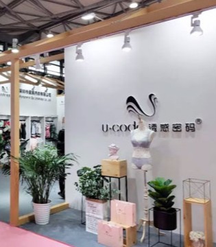 中针会,诱惑密码,品牌内衣