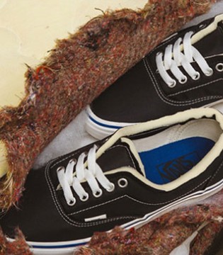 Vans,品牌,时尚品牌,时尚,财报,500强