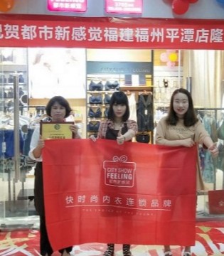 都市新感觉内衣,内衣店开业,内衣加盟