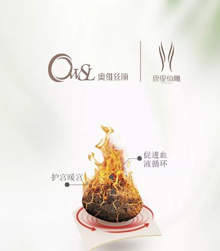 奥维丝丽内衣,品牌内衣,服装知识