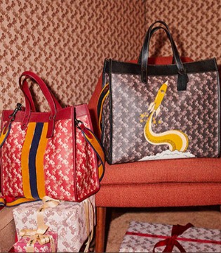 Coach,蔻驰,奢侈品,包包