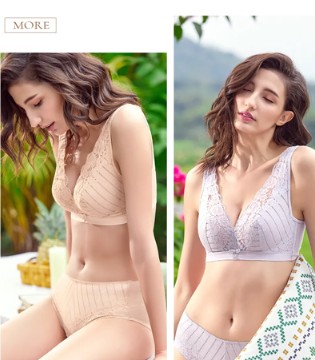 完美体态,蚕丝文胸,新品上市