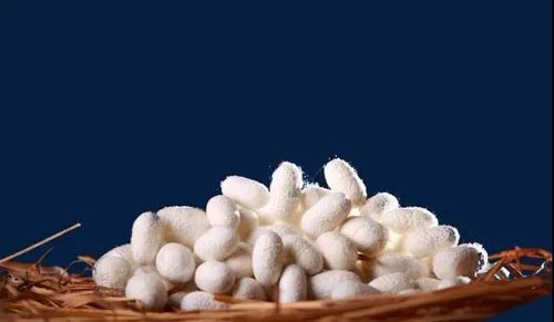 絲綢蘇州2020 | 三和開泰——暢銷海外的絲綢