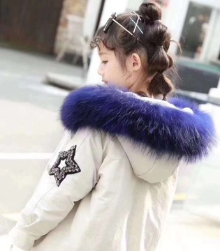宾果童话,签约,加盟