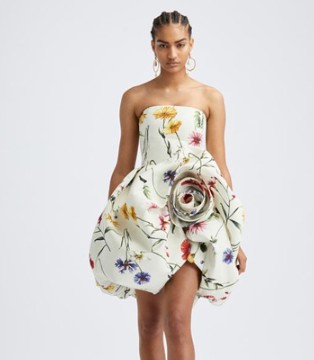Oscar de la Renta,连衣裙,奢侈品,浪漫穿搭
