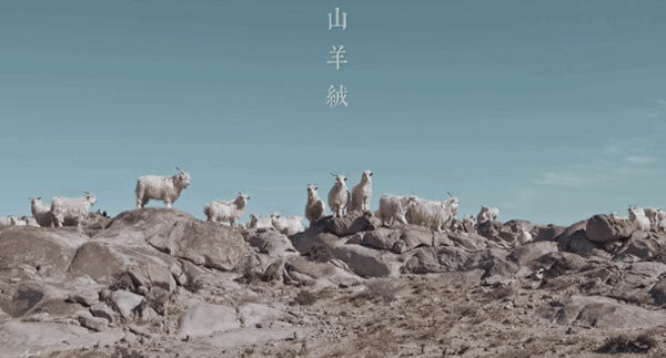 FS2021秋冬精選展商 M.ORO：“纖維寶石”盡在羊絨文化