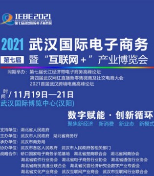 武汉国际电子商务,互联网+,武汉电博会