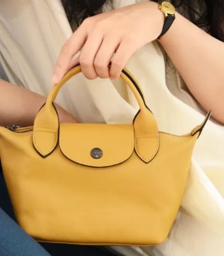 珑骧,Longchamp,饺子包