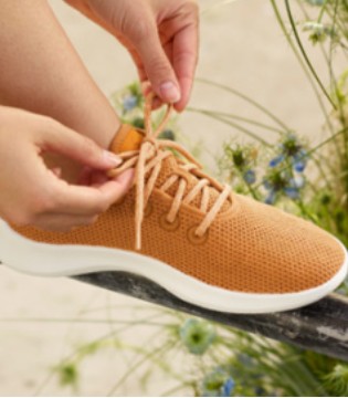 Allbirds,上市,可持续