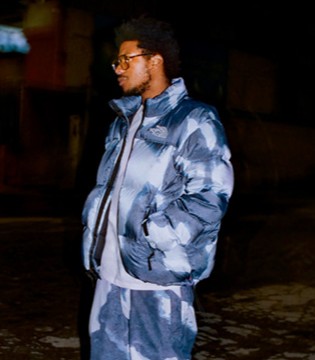 Supreme,高达,合作