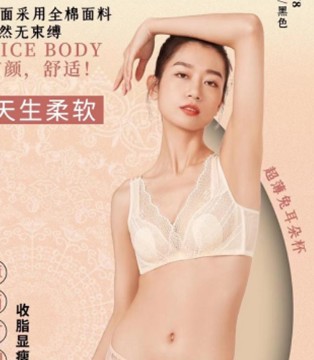 闺秘,内衣,招商